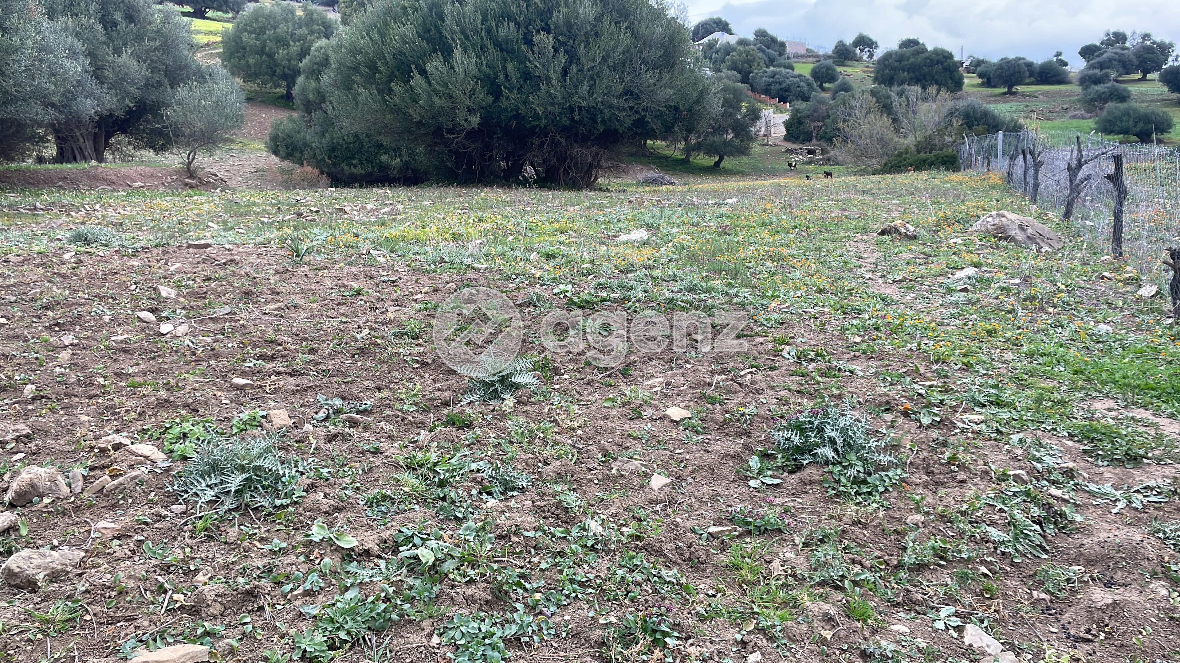 Terrain 353 m² à Autre — 2
