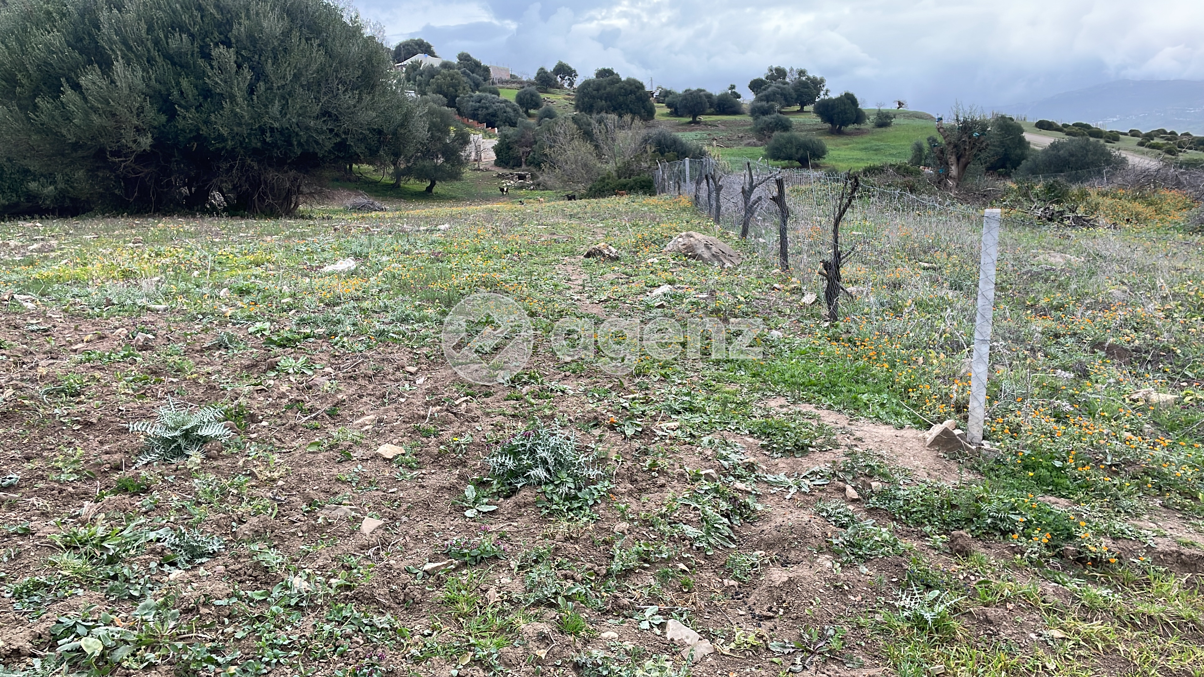 Terrain 353 m² à Autre — 3