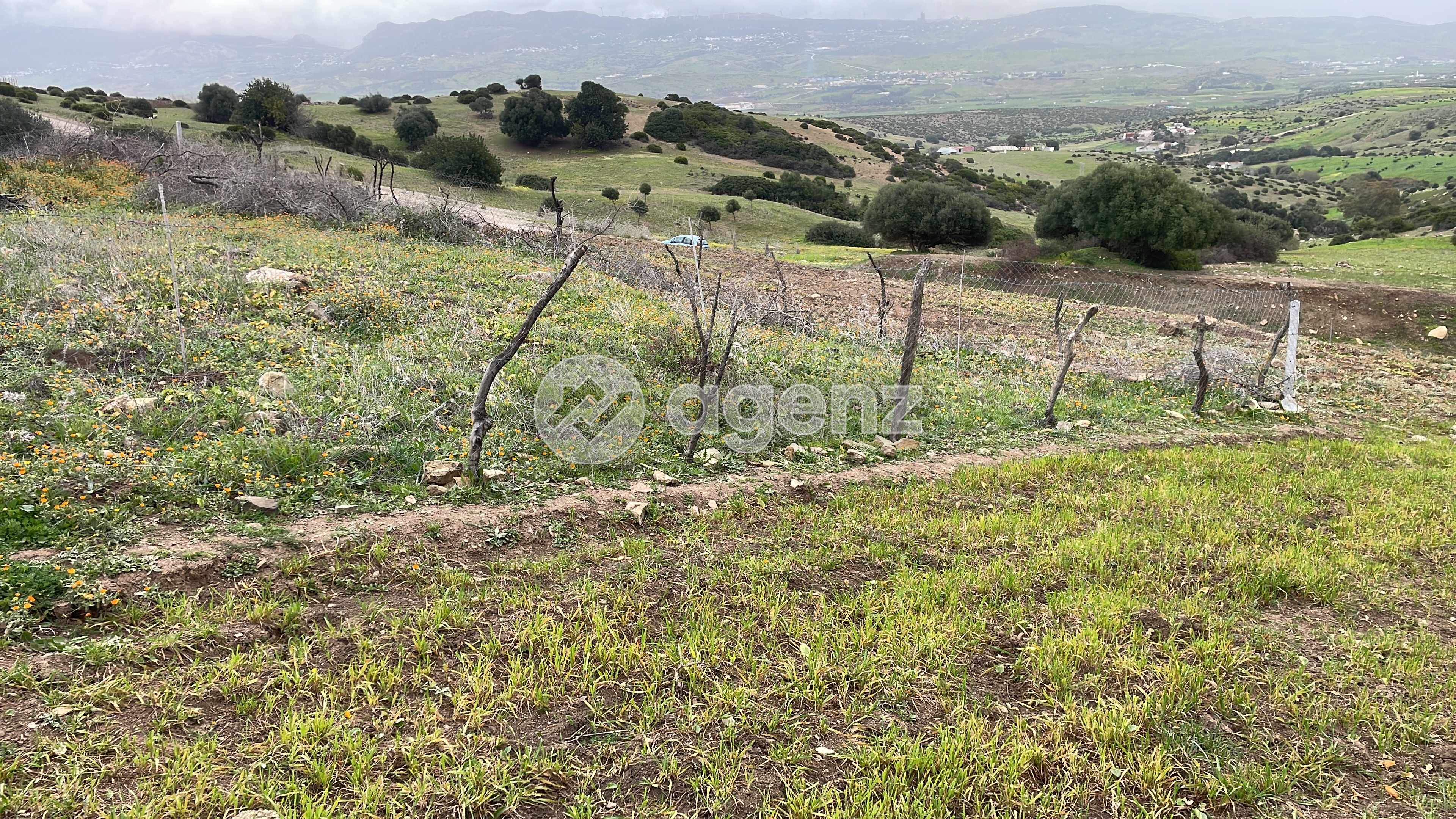 Terrain 353 m² à Autre — 4