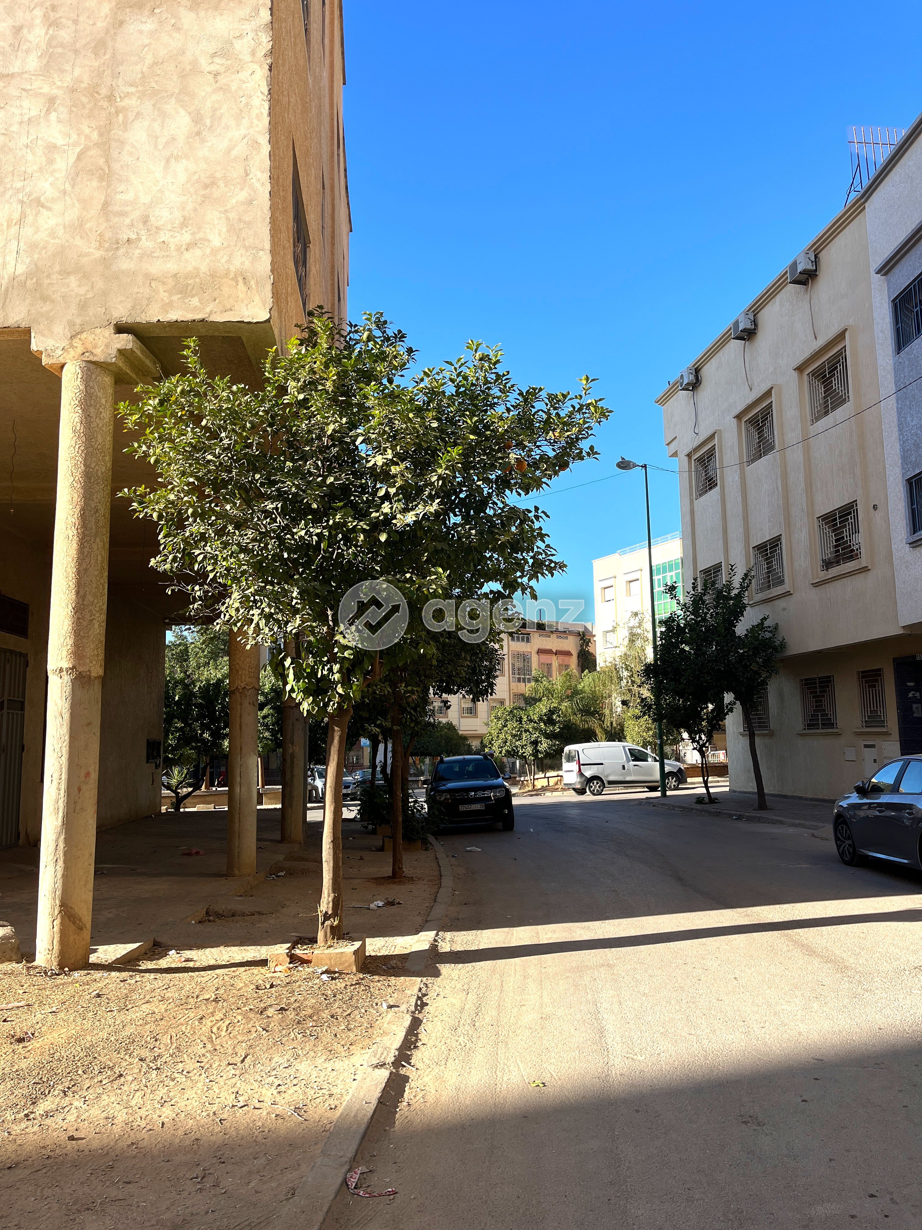 أرض — Meknès — 4