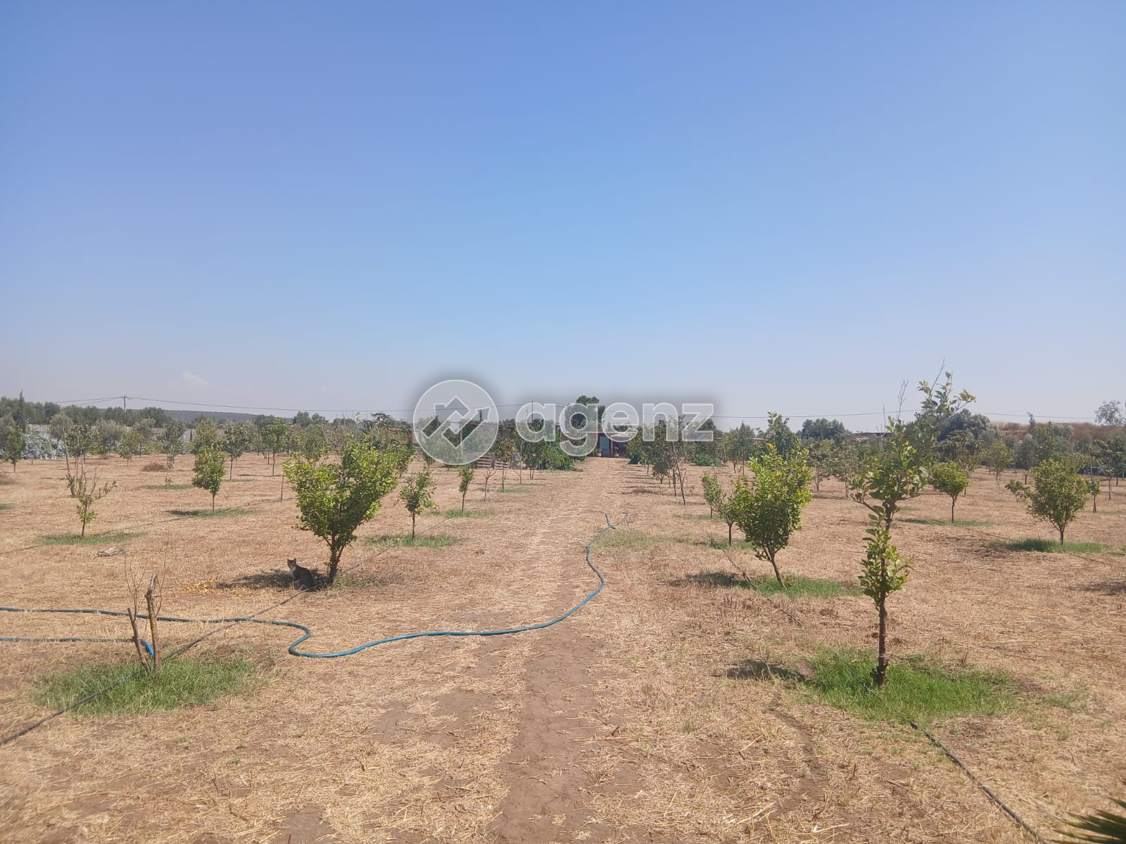 Superbe terrain titré 13 654 m² Ziaida Benslimane — 2