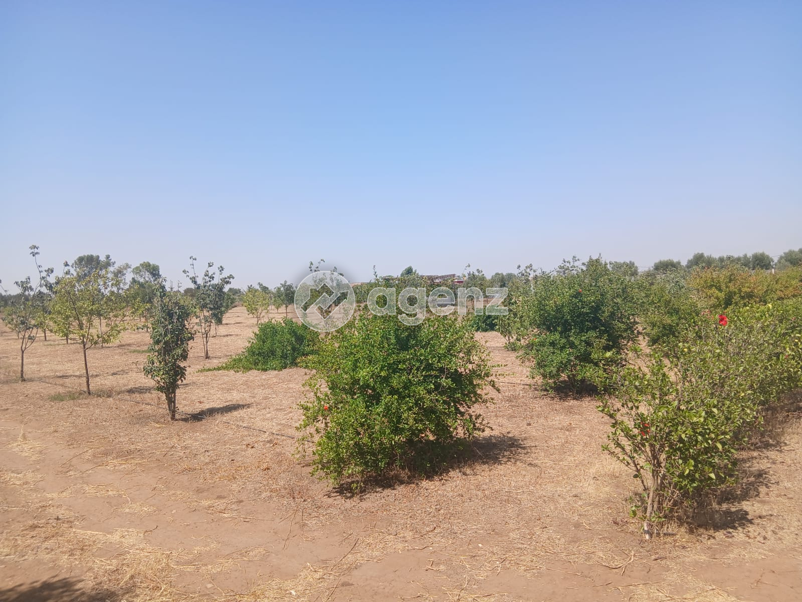 Superbe terrain titré 13 654 m² Ziaida Benslimane — 5