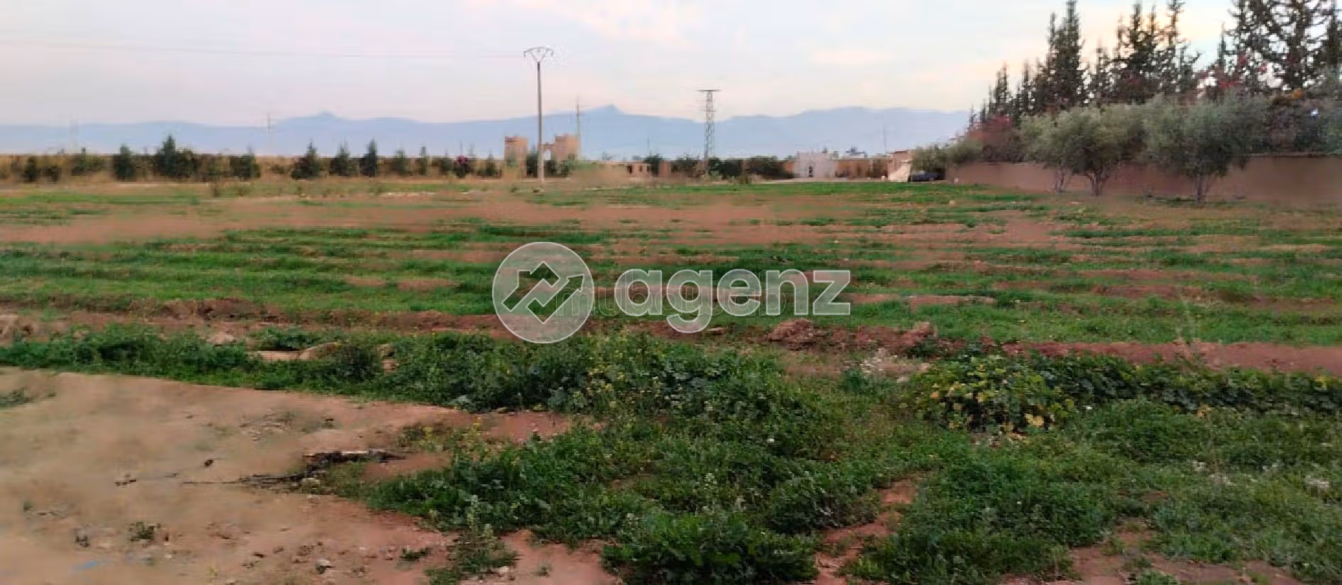 Vente Terrain 1 hectare SA2 route de Ouarzazate