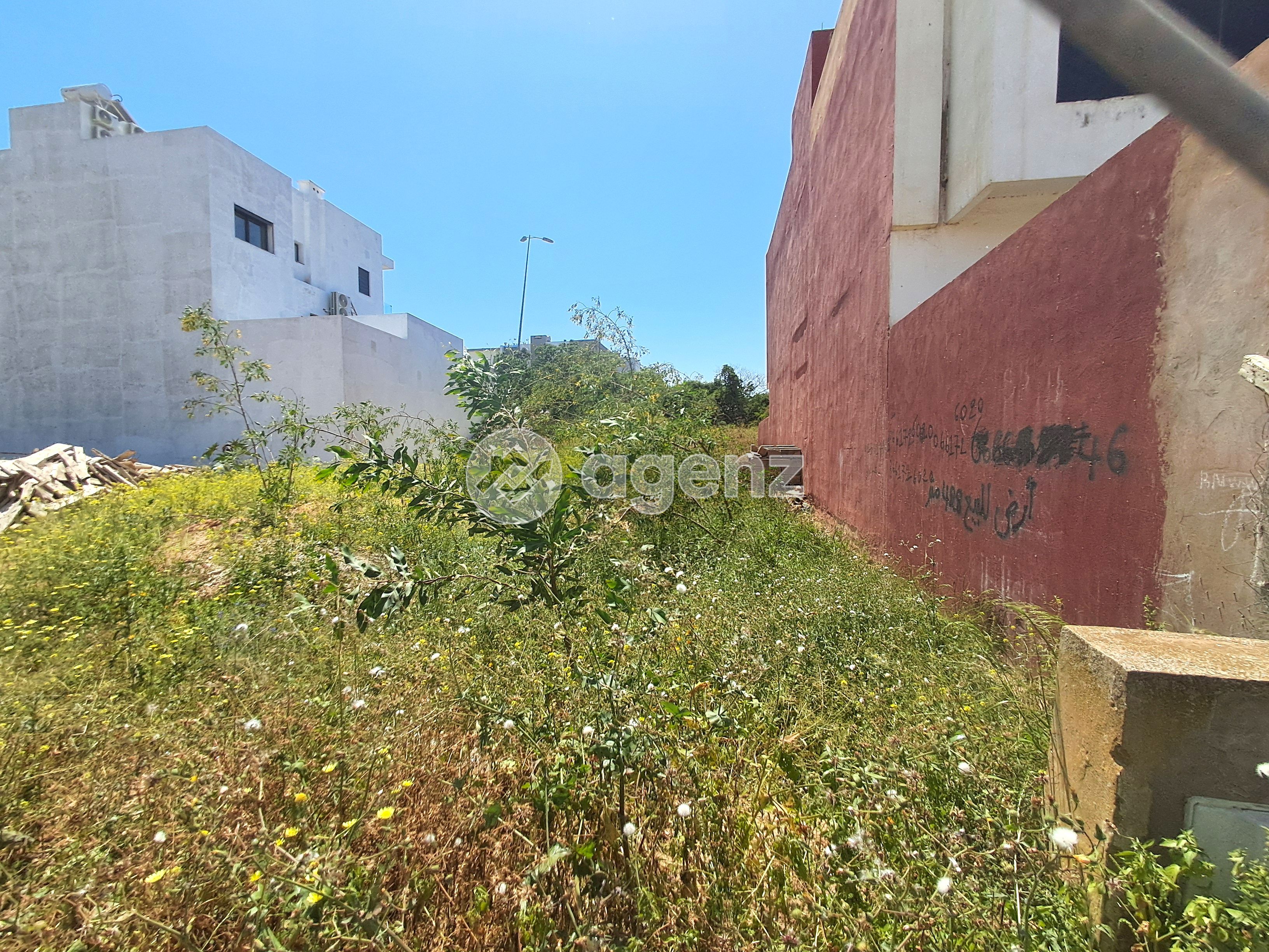 Terrain — Bouskoura — 3