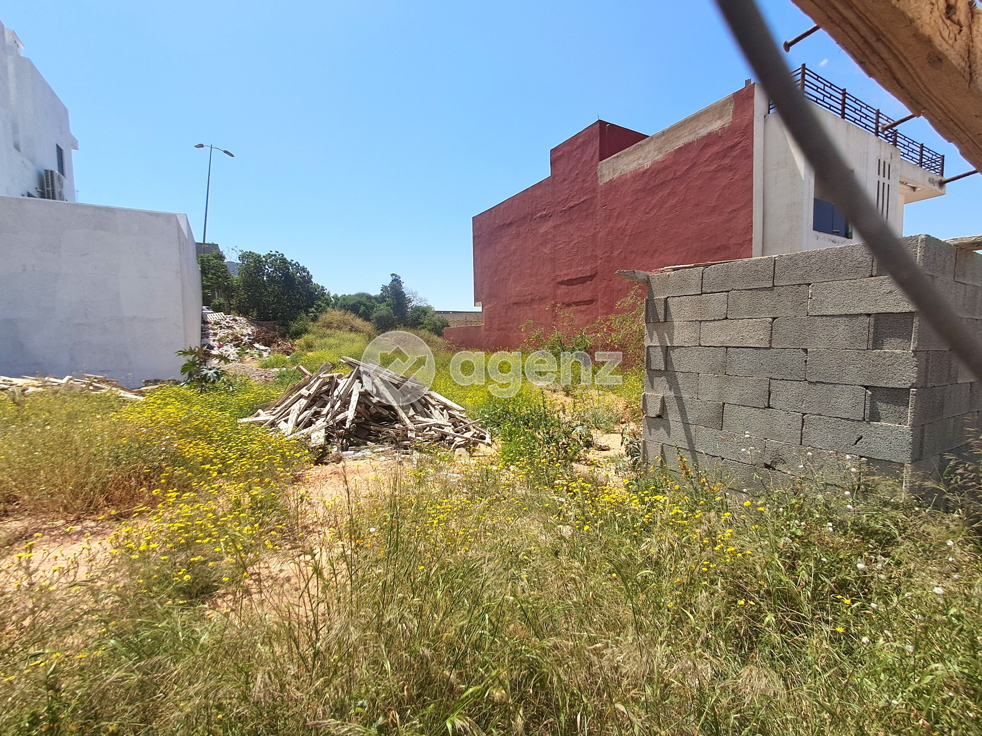 Terrain — Bouskoura — 4