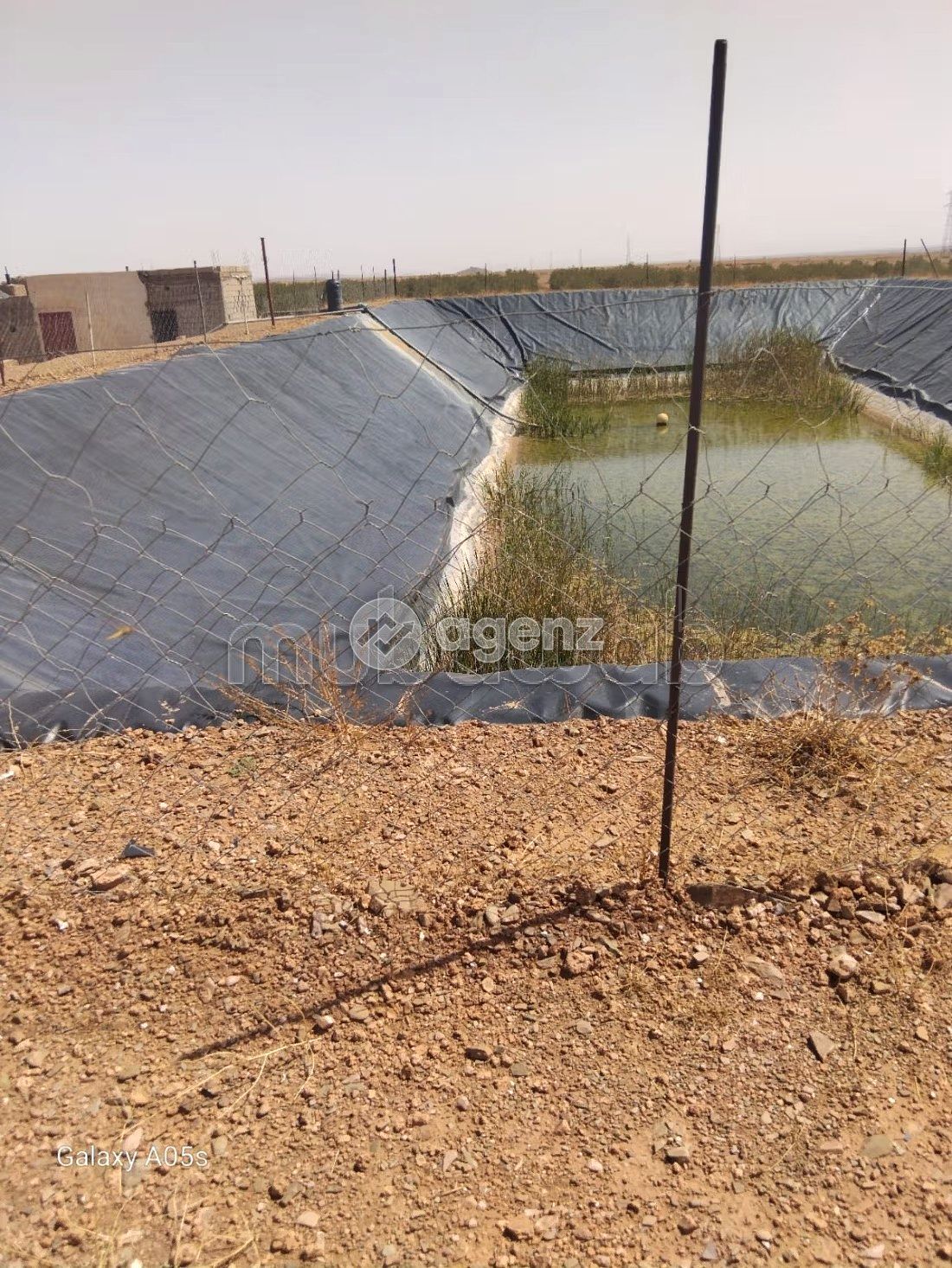 Ferme Agricole à Vendre 15 Hectares — 3