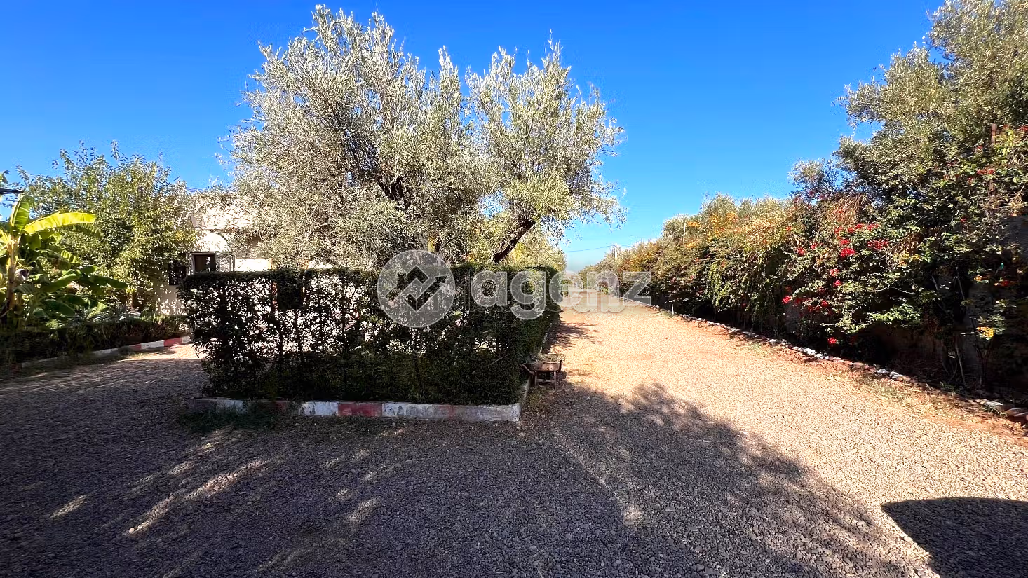Vente propriété sur 1,5 ha route de Fès Marrakech — 5