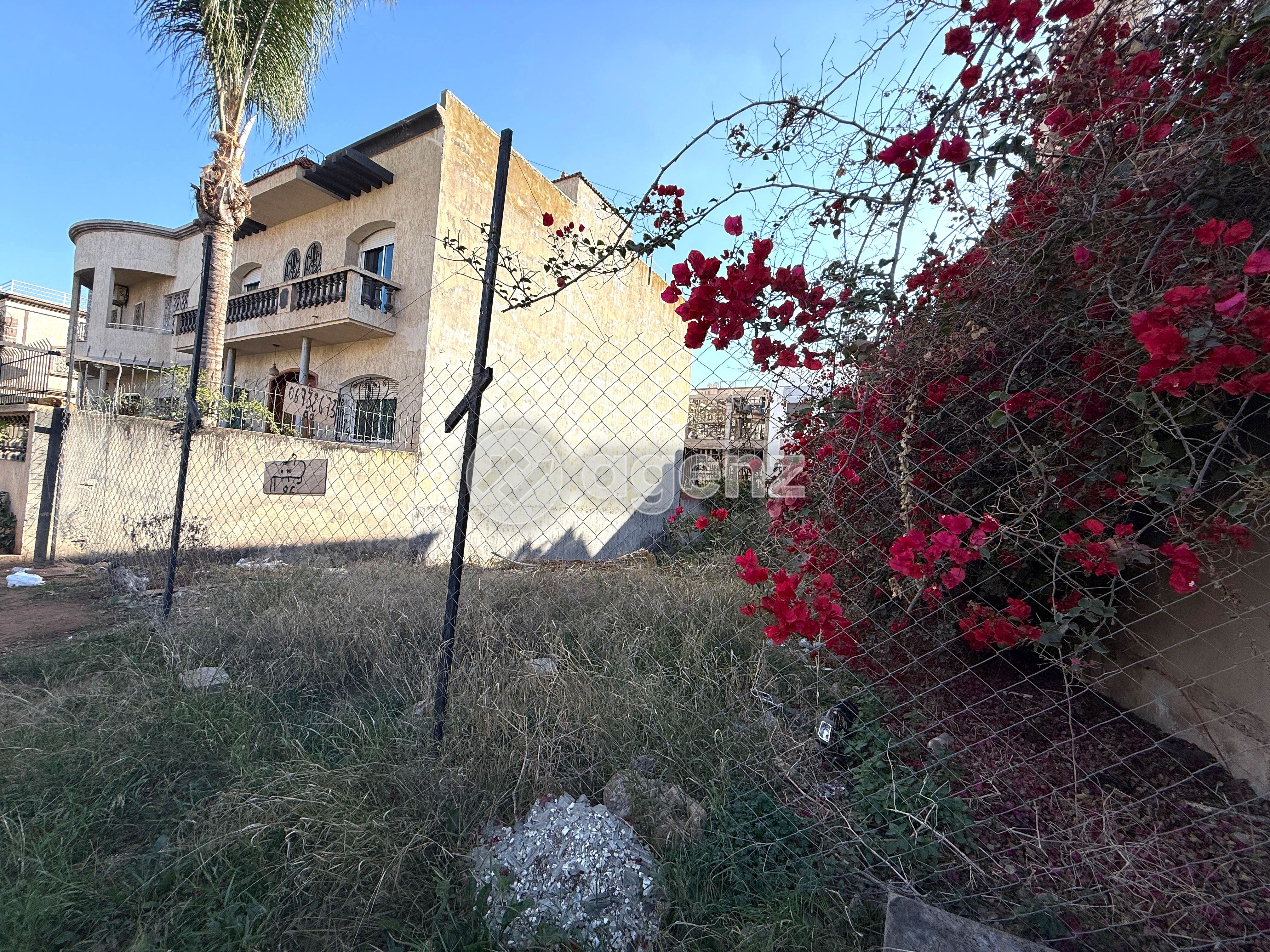 أرض — Casablanca — 5