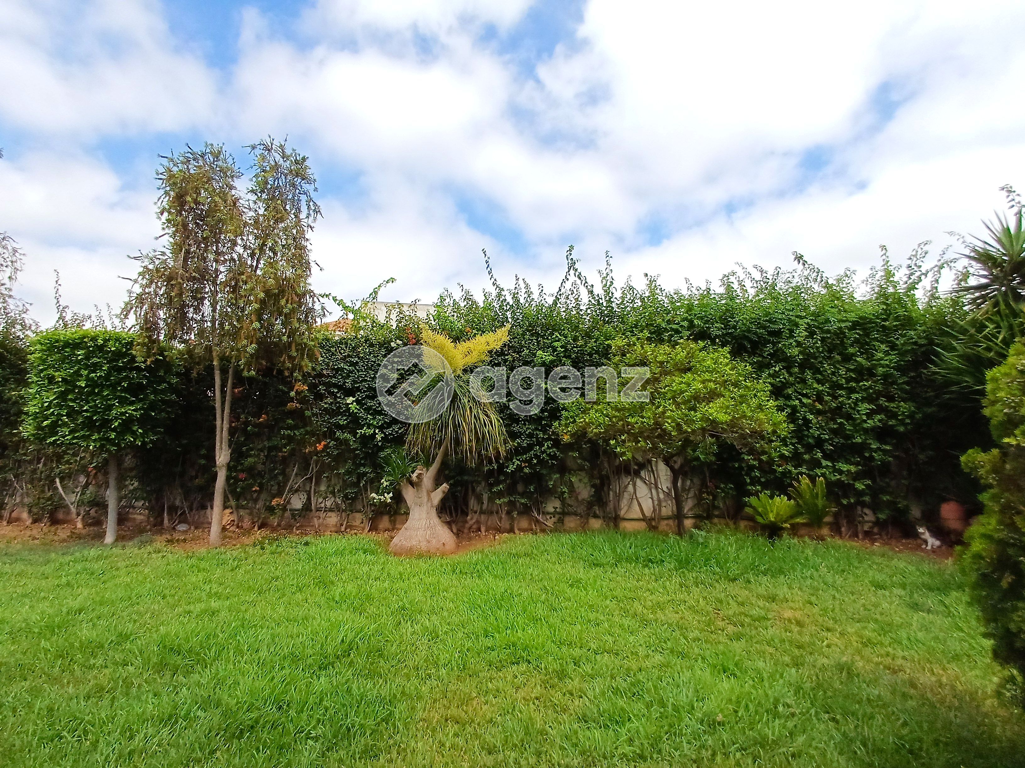 Splendide Villa de 4 chambres à vendre à Californie — 3