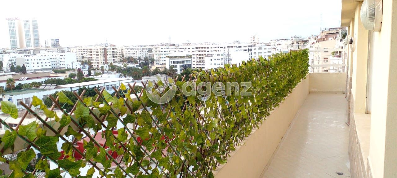 Luxueux Appartement de 3 chambres à louer à Palmier