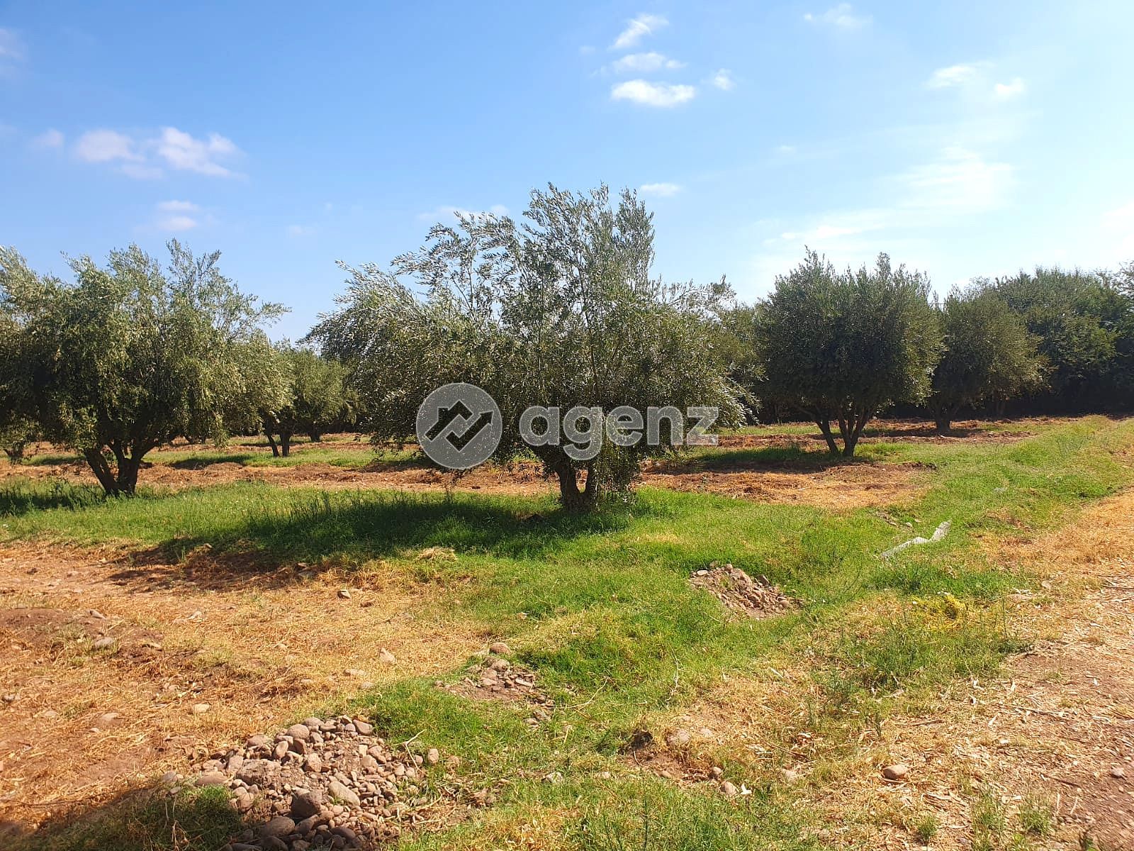 Terrain titré de 6 hectares à Route de Tahnnaout - Marrakech  — 2