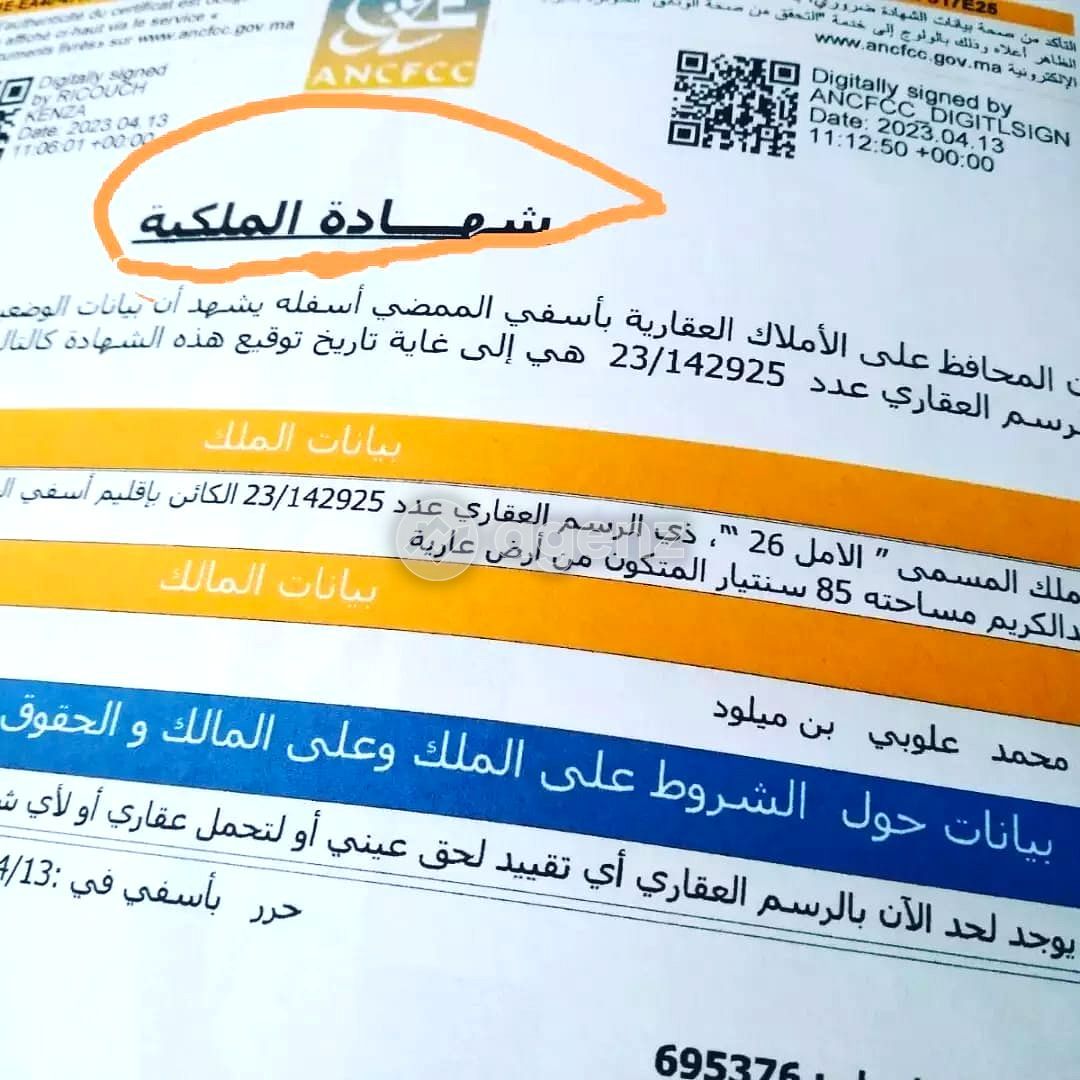أرض — Safi — 4