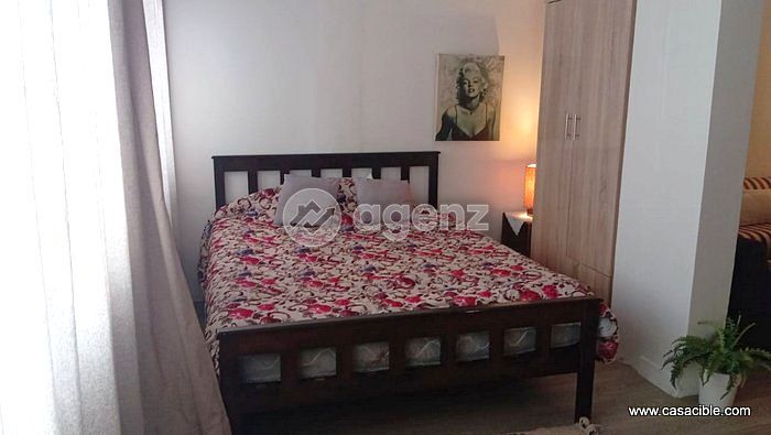 Studio meublé 1 chambre à louer à Gauthier — 5