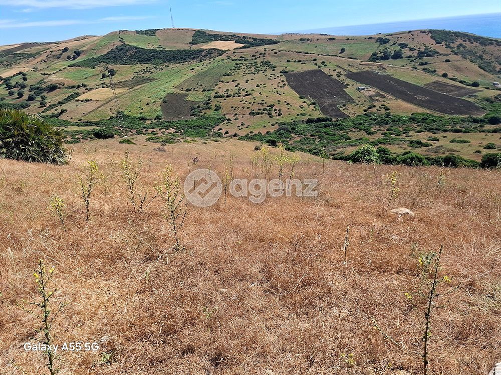 Terrain vue sur mer à vendre Assilah sidi Mghayet — 3