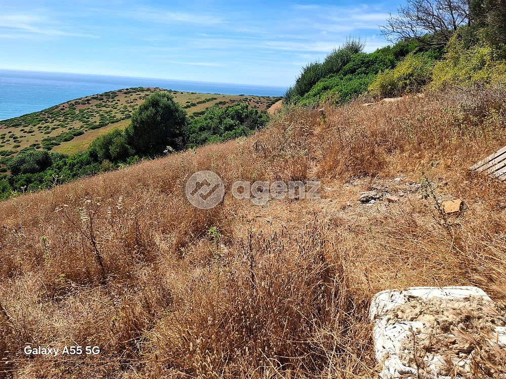 Terrain vue sur mer à vendre Assilah sidi Mghayet — 5