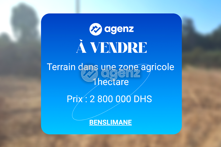 Terrain de 1 hectare à Benslimane