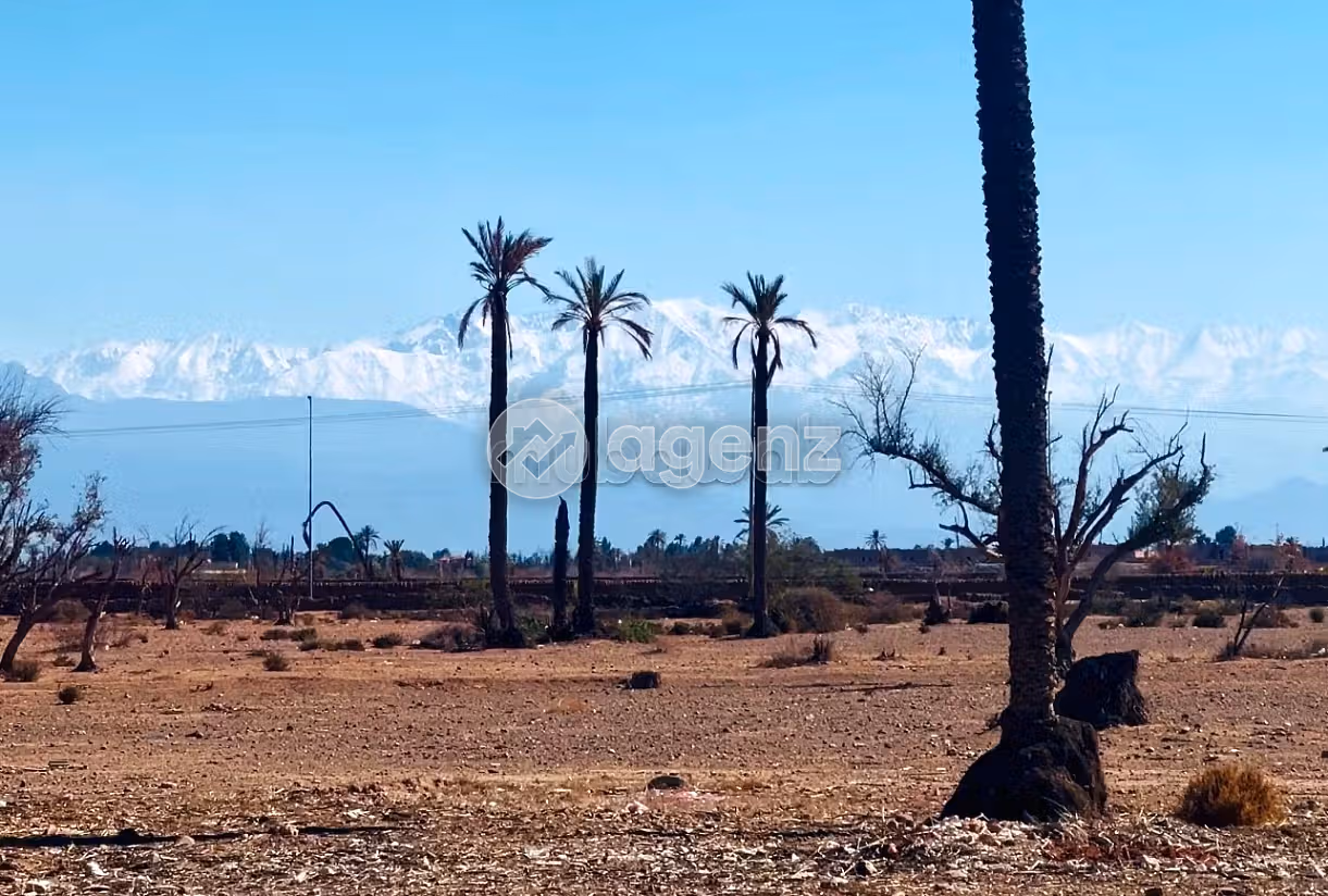 Lots de terrain à la vente Bab Atlas Marrakech