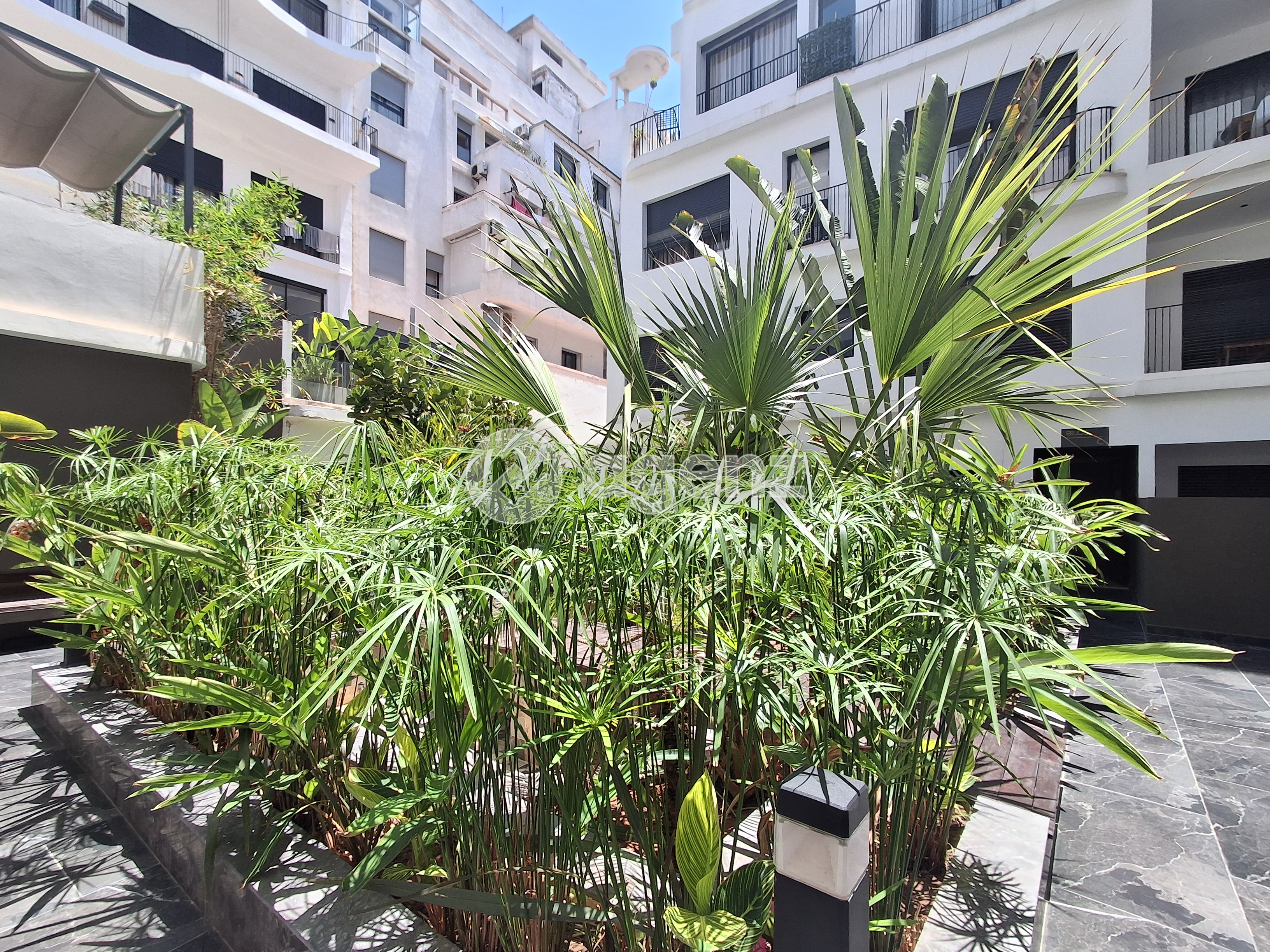 Studio meublé – Confort et praticité — 4