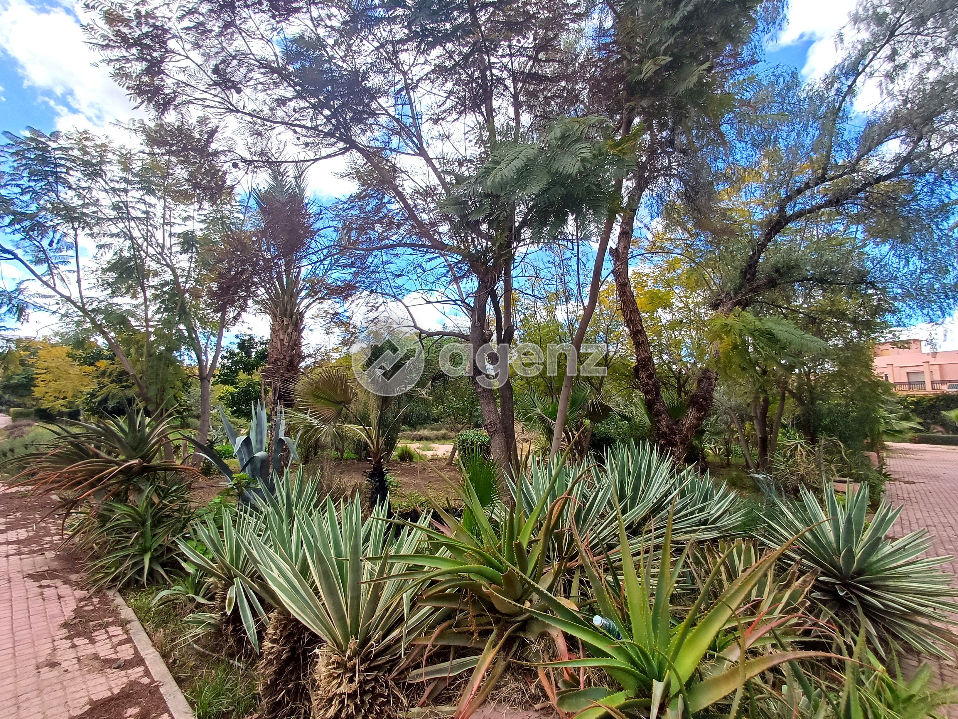 Villa à vendre à Bab Ighli — 4