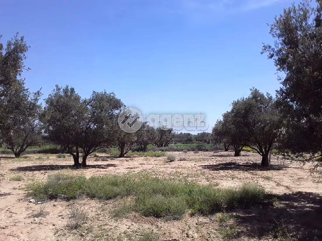 5 lots de terrains titrés rte Amizmiz Marrakech — 2