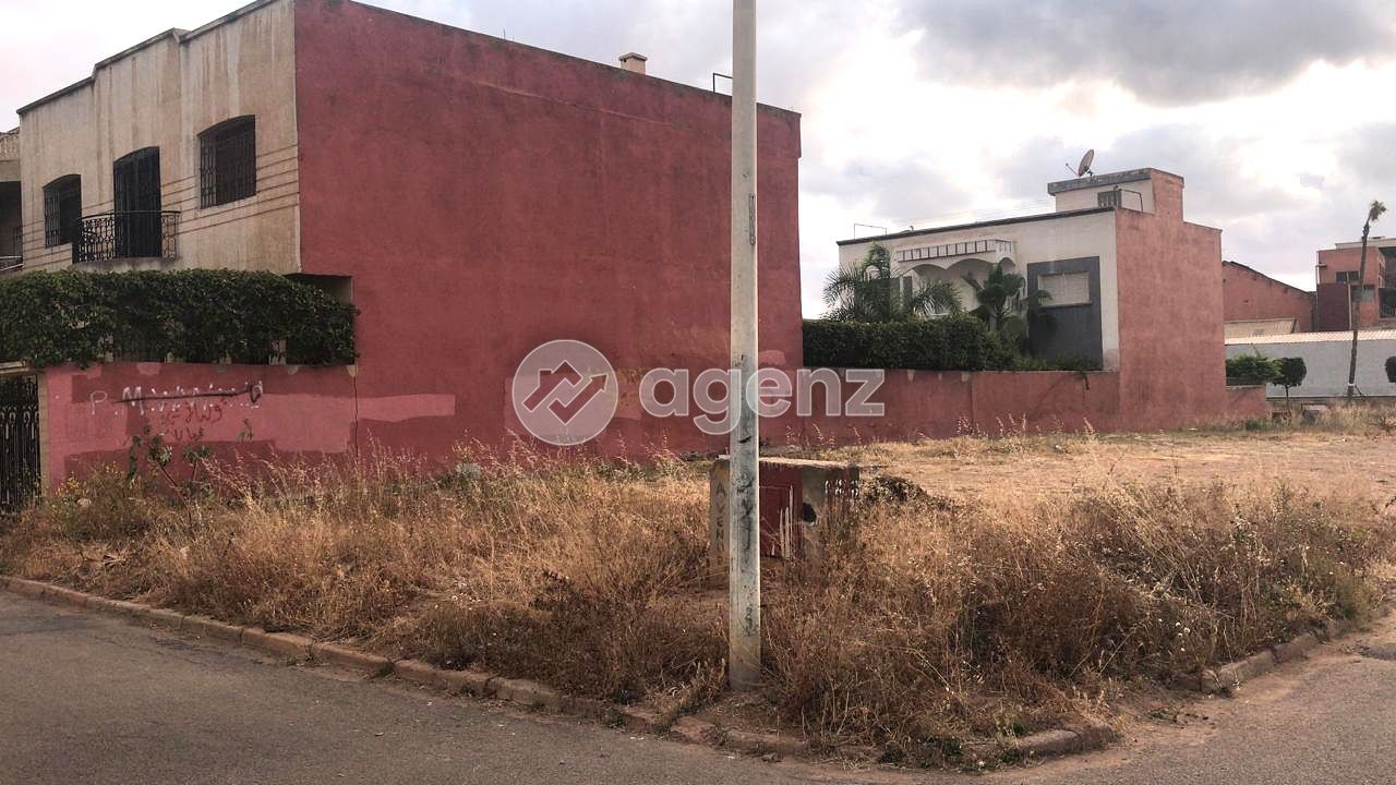 Terrain — Casablanca — 2