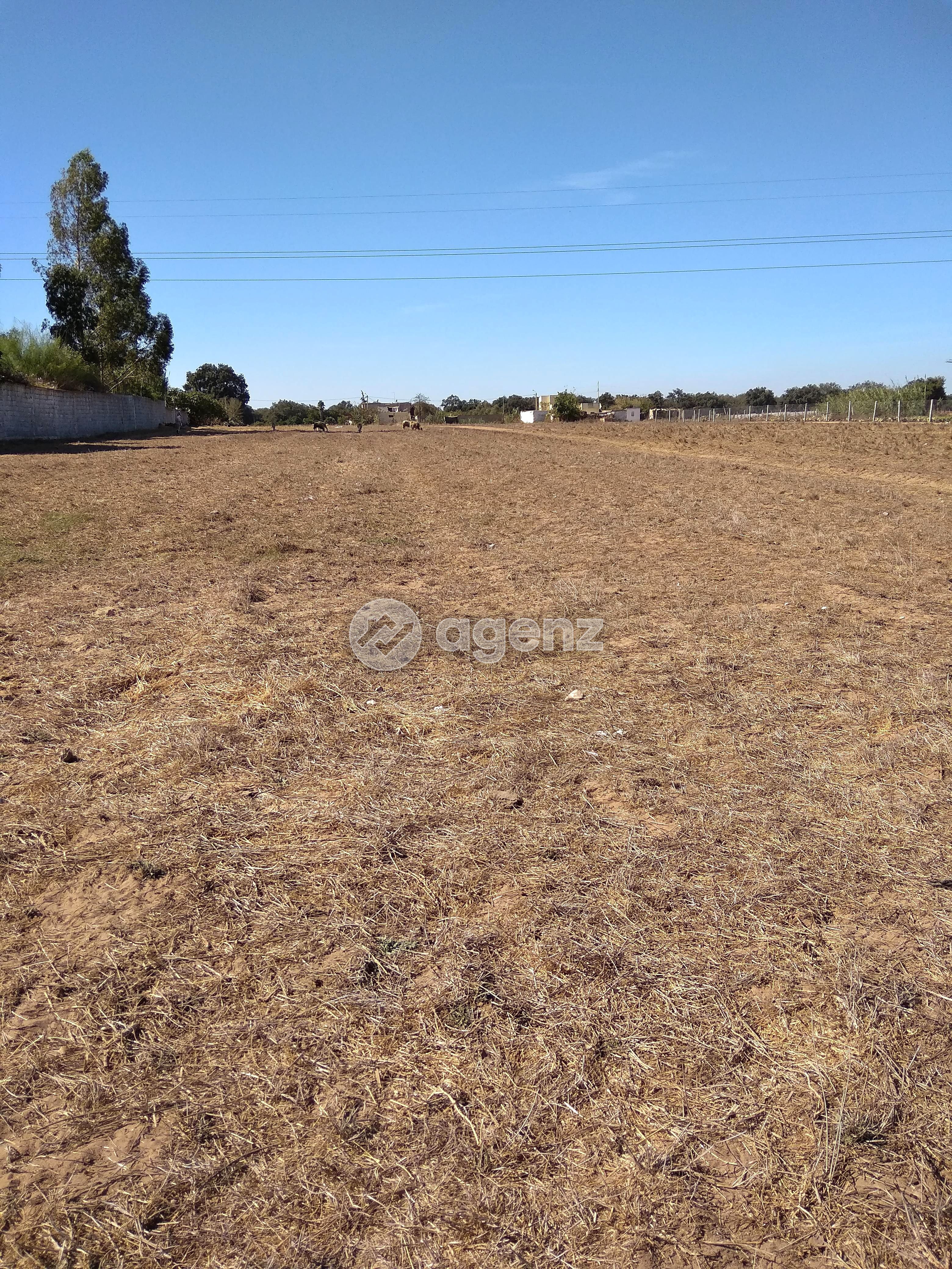 Terrain titré à El Menzeh – 1 173 DH/m² – Zone D4