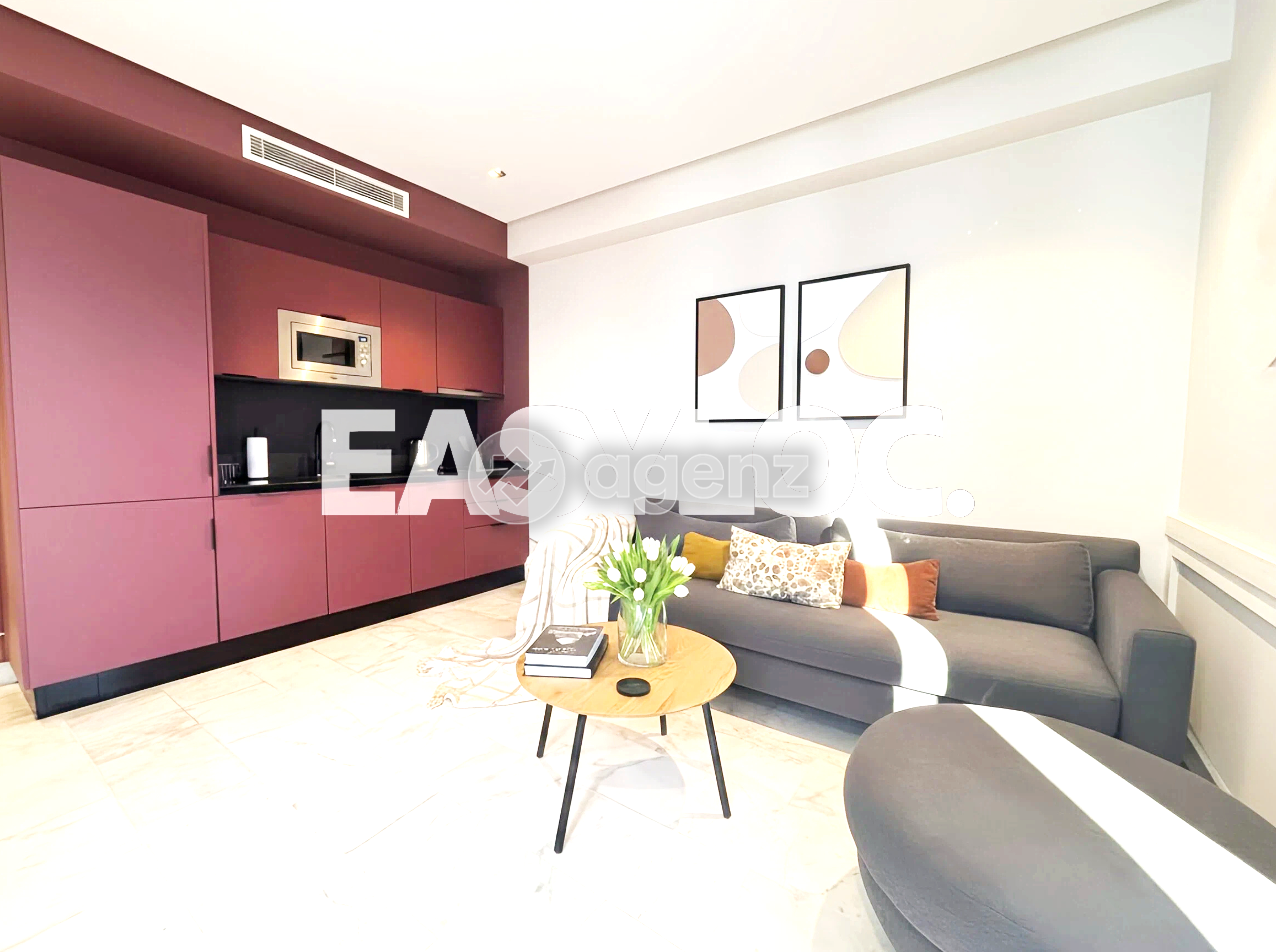 Appartement ensoleillé sans vis à vis - OASIS
 — 4