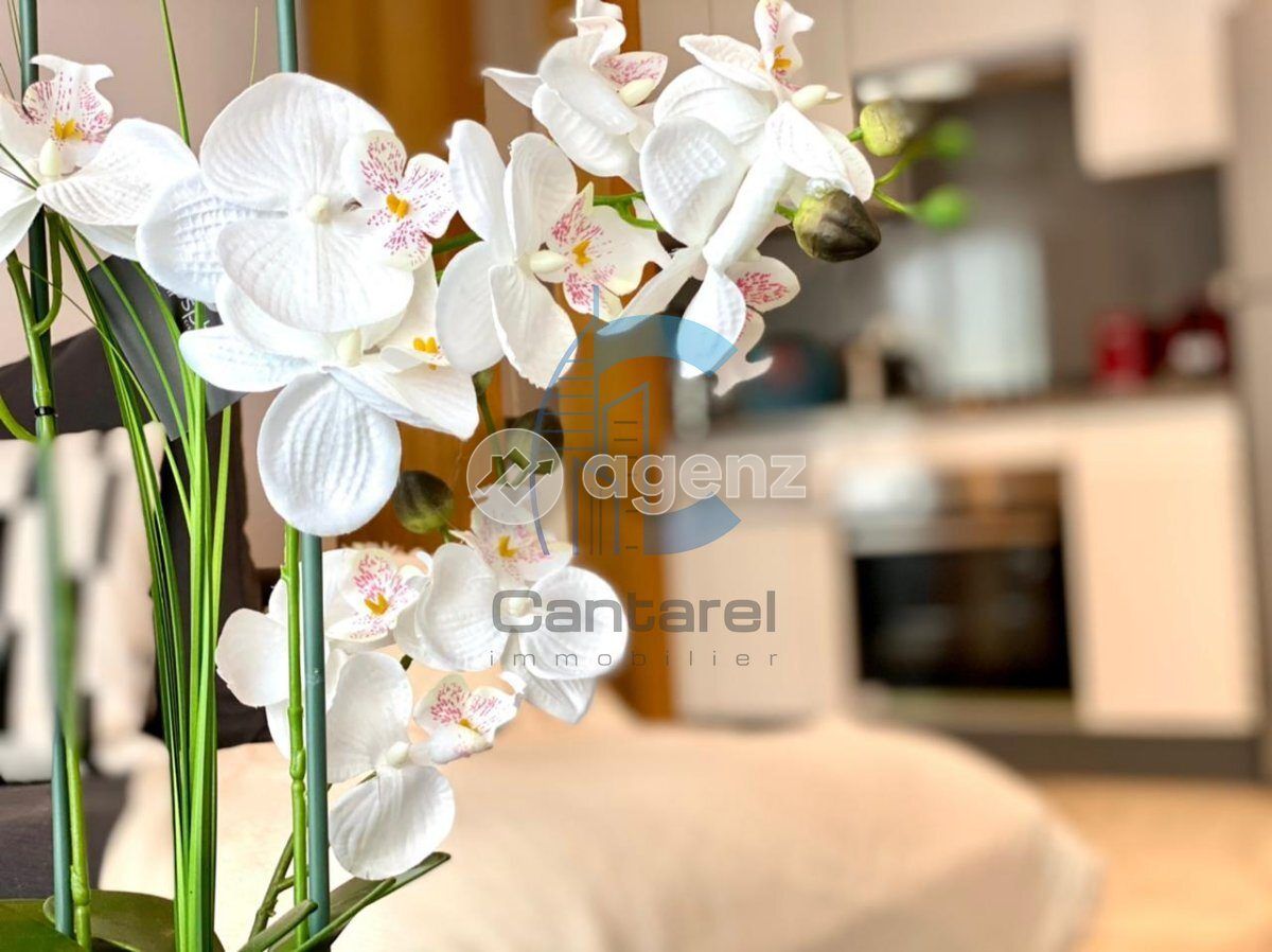 Appartement — Casablanca — 3