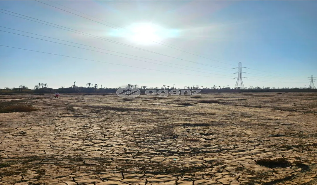 Terrain à vendre 5 950 000 dh 0 m² - Autre Marrakech