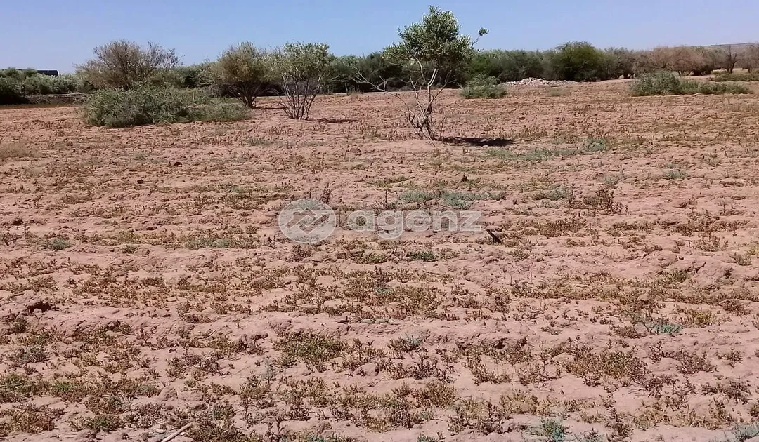 Terrain à vendre 1 980 000 dh 10 800 m² - Route de Fès Marrakech